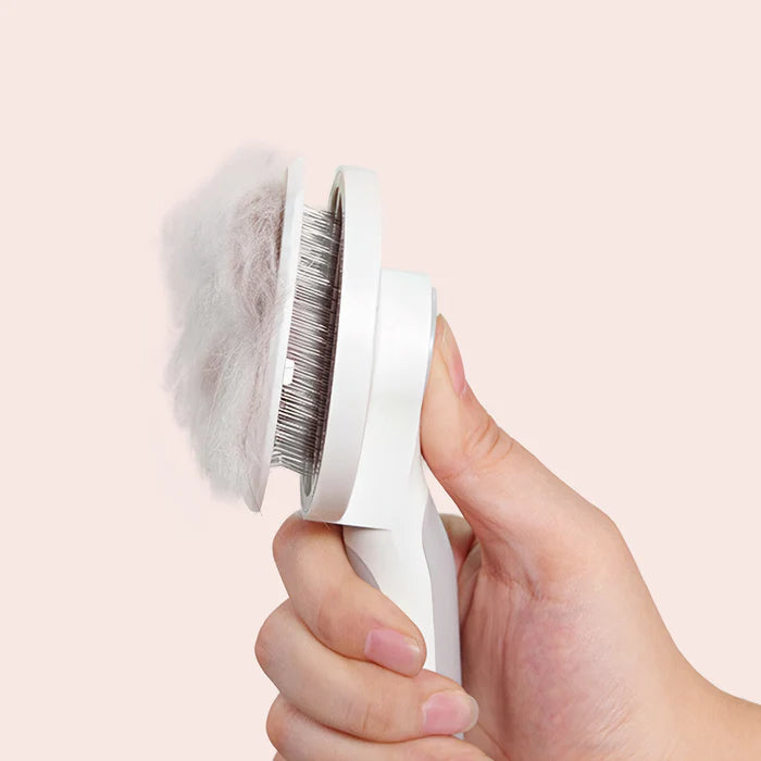 Self-Cleaning Pet Brush